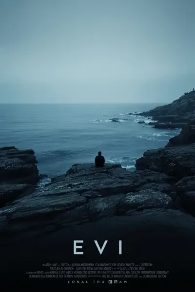 无声海岸封面